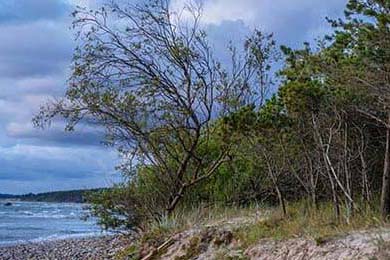 欧易官网-欧易（OKX）官网下载完全指南，安全、便捷、一步到位